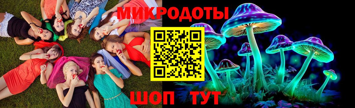 Вязьма  магазин продажи   Вход с VPN  Псилоцибиновые грибы мицелий 